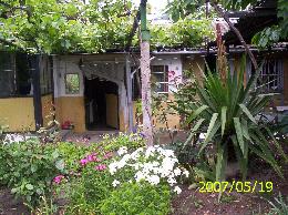 House with big plot in Jilino village - ID 3370