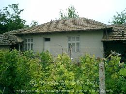 1-storey house in Nevsha village - ID 3326
